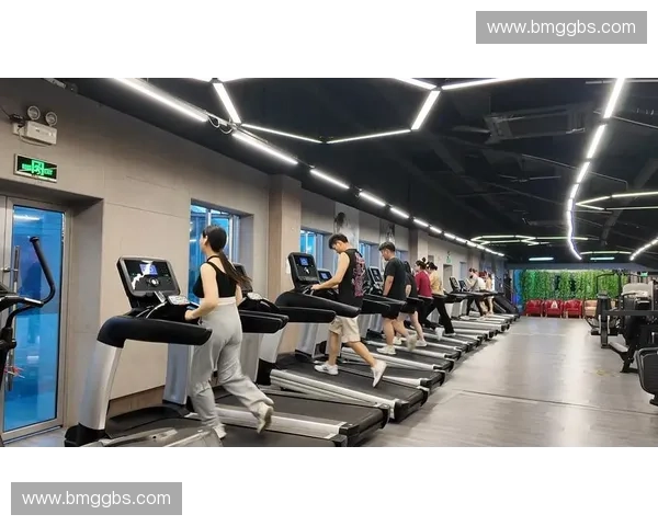 打造全方位体育综合服务平台提升全民健身体验与产业价值